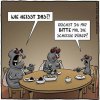 folie5