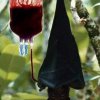 junkie-fledermaus