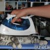 katze-buegeln
