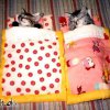 katzenbabys