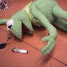 kermit_overdosed