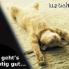 mirgehtsgut