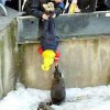 tierfuetterung